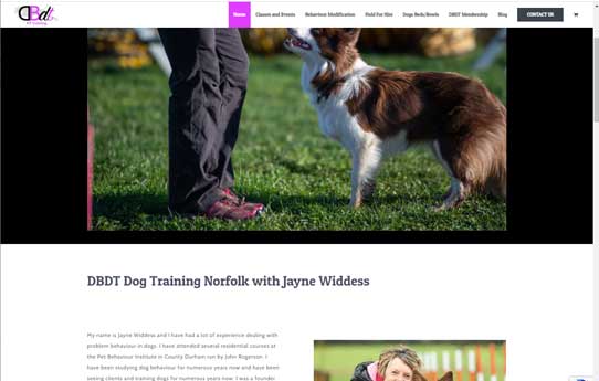 DBDT Dog Training & Agility