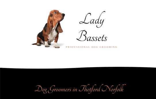 Lady Bassets Dog Groomers Norfolk